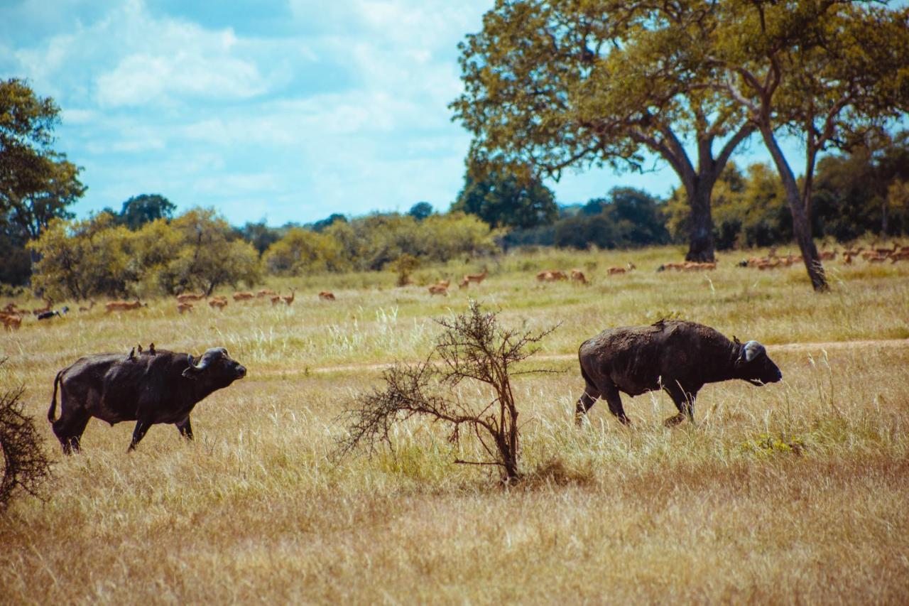 Hotel Serengeti Kamwene Tented Camp Nyabogati Exterior foto